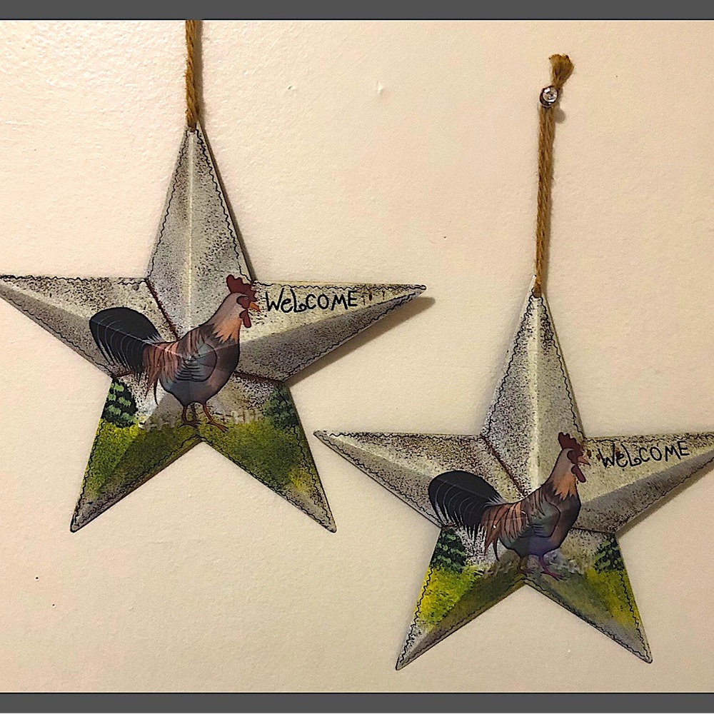 🐔Roster Star Kitchen Decor🐔